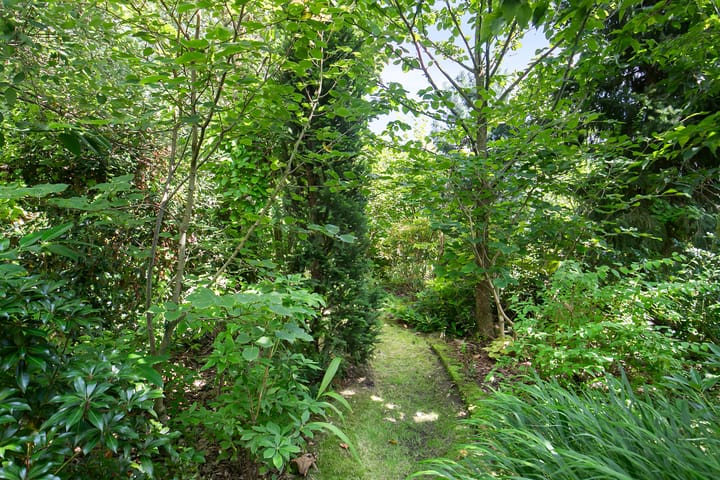 Foto 30 van 's-Gravenstraat 357