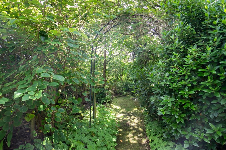 Foto 31 van 's-Gravenstraat 357