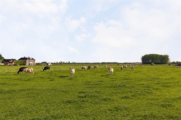 Bekijk foto 51 van Heerbaan 198