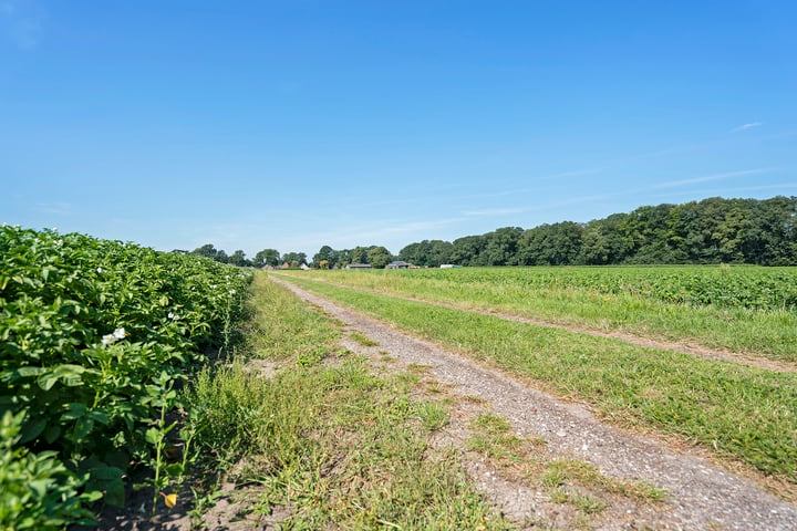 Bekijk foto 38 van Kerkweg 98