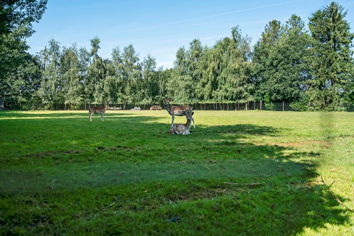 Foto 46 van Kerkweg 98