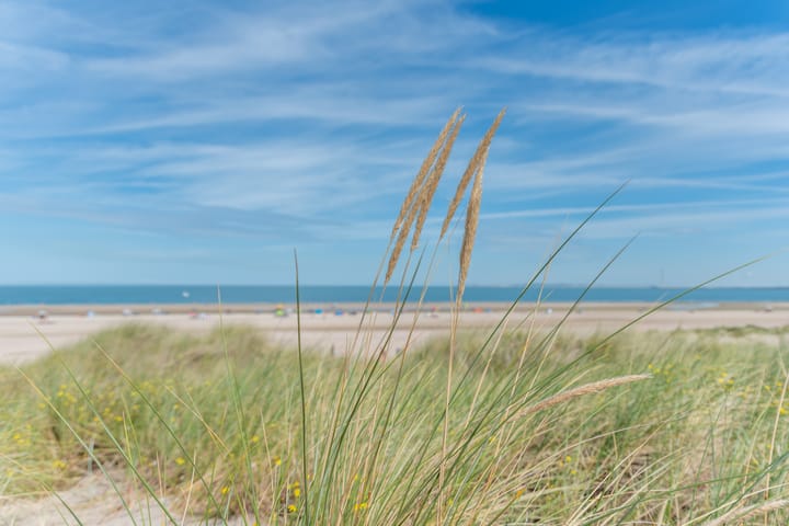 Photo 3 of Kreekpad bouwkavel 2