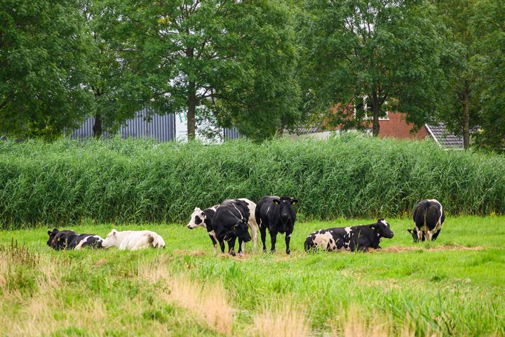 Bekijk foto 48 van Eilandseweg 4