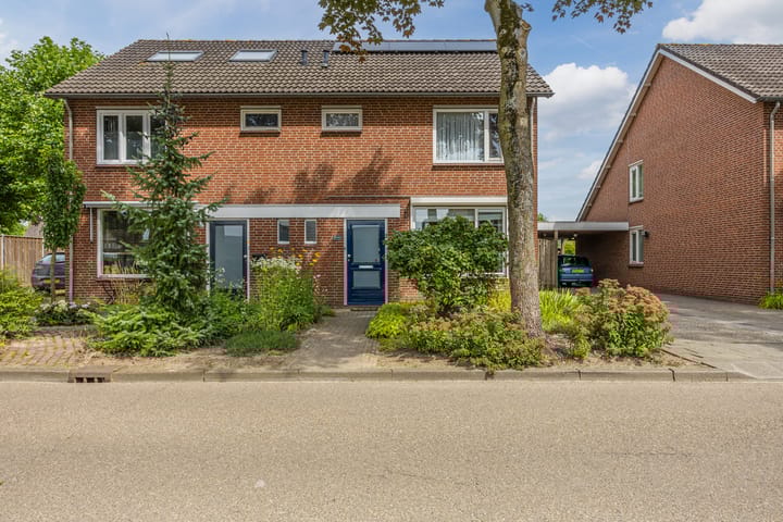 undefined main image