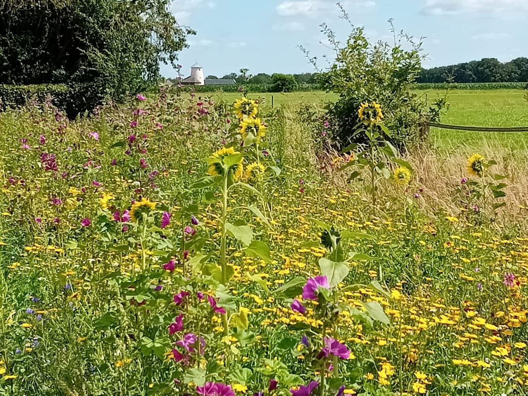 Foto 58 van Hazenhutweg 16