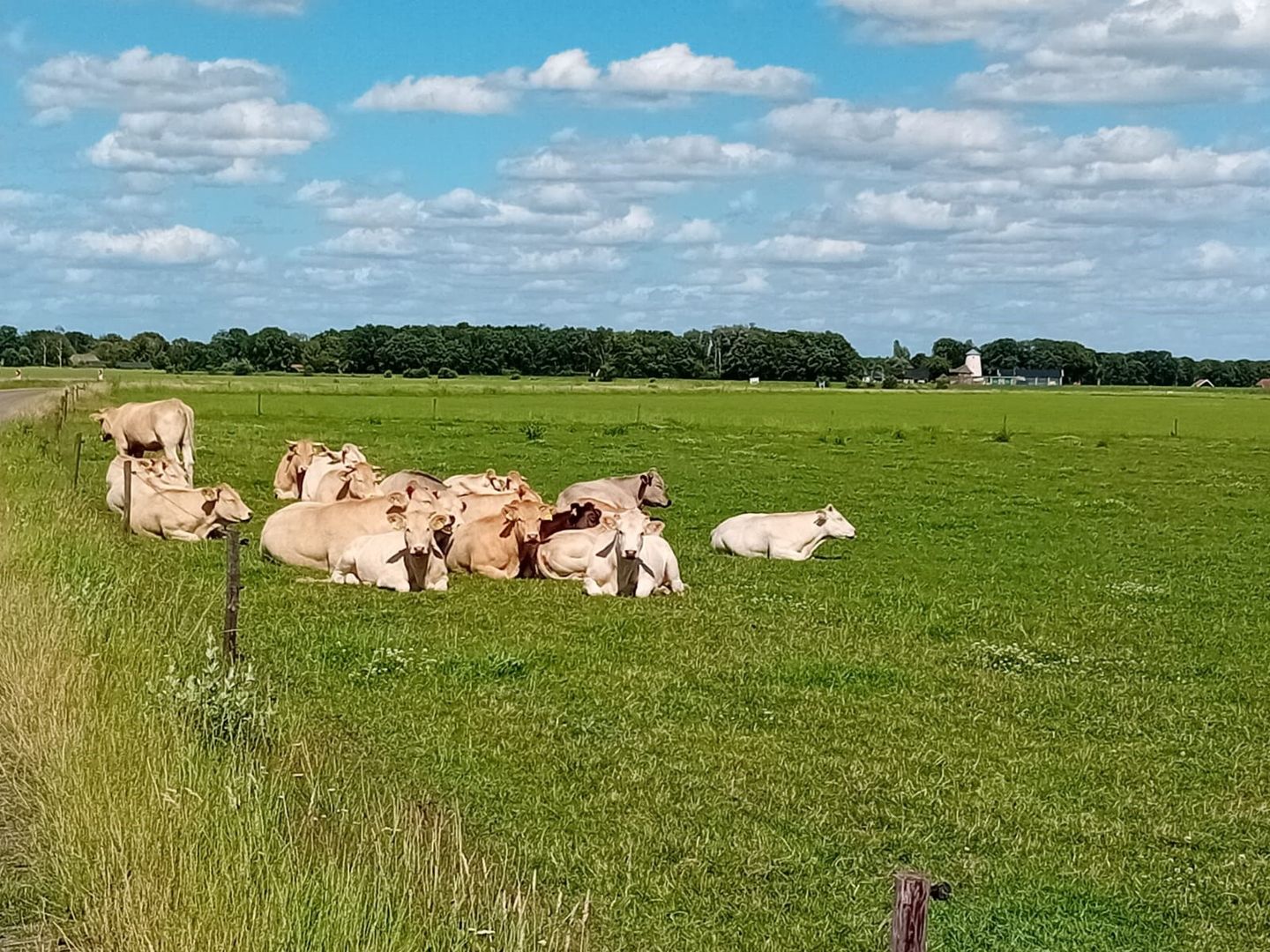 Foto 59 van Hazenhutweg 16