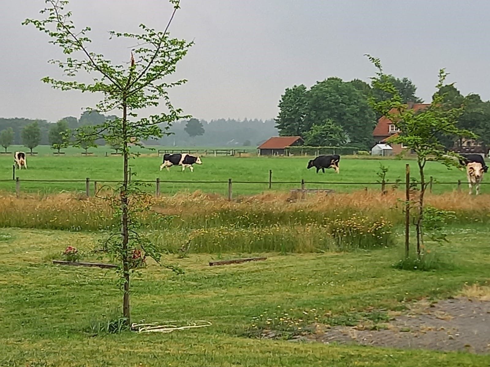 Foto 60 van Hazenhutweg 16