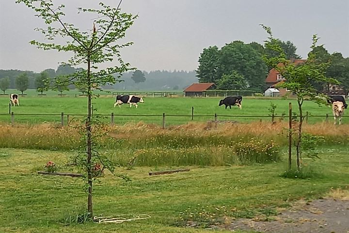 View photo 60 of Hazenhutweg 16