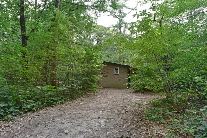 Foto 5 van Weversteeg 3