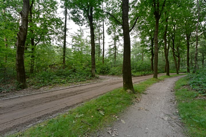 Foto 6 van Weversteeg 3