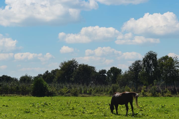 Foto 3 van Molenbaan ong.