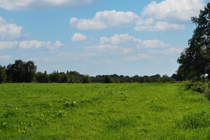 Foto 4 van Molenbaan ong.