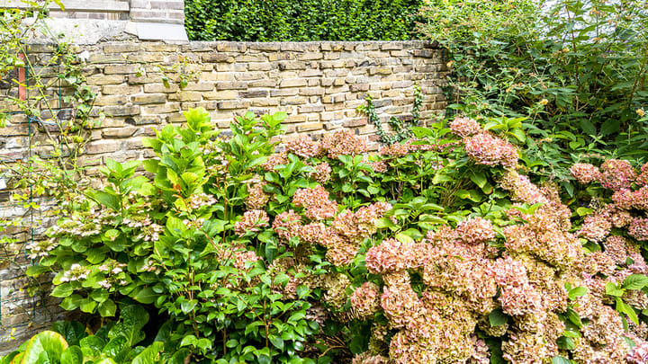 Foto 32 van Oude Kerkstraat 12