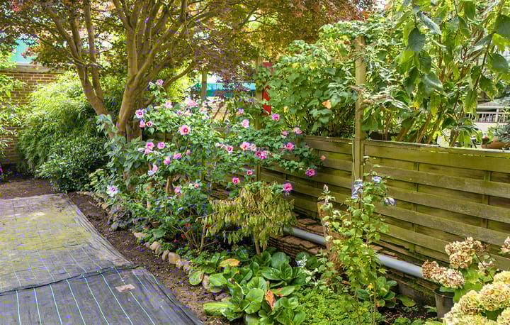 Foto 33 van Oude Kerkstraat 12