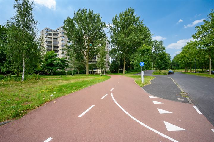 Bekijk foto 18 van Groenhoven 220