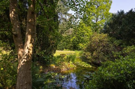 Bekijk foto 43 van Struisvogellaan 7