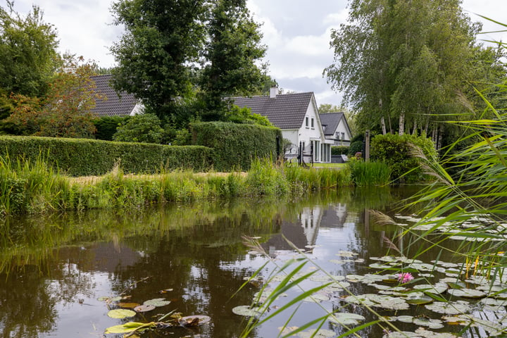 Bekijk foto 50 van Van Teylingenweg 16