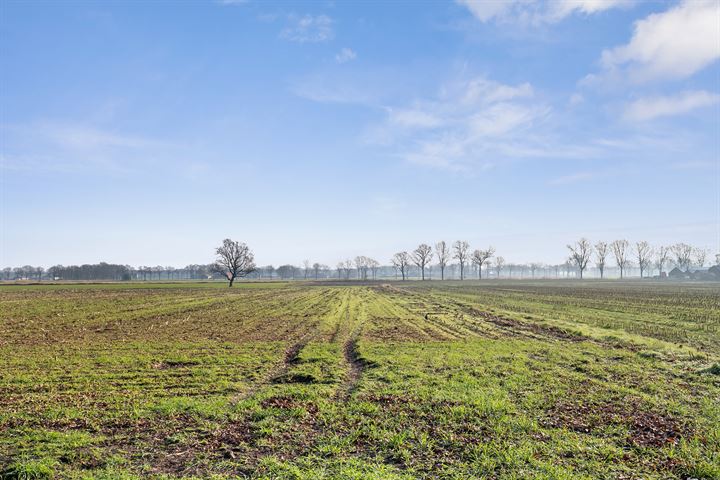 Bekijk foto 39 van Stikker 1