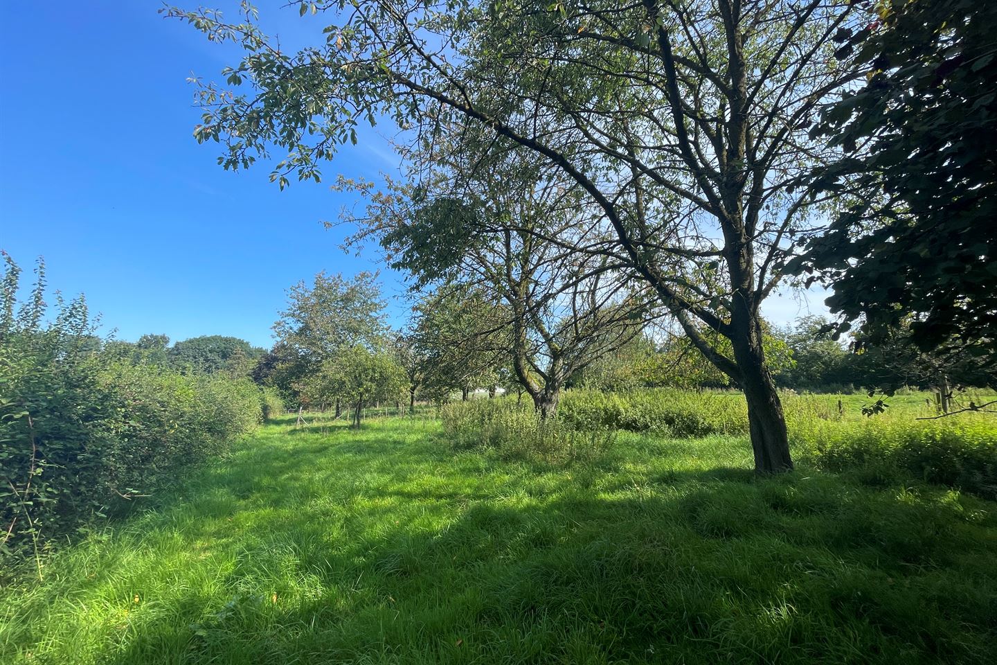 Bekijk foto 3 van Rootherweg