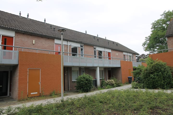 undefined main image
