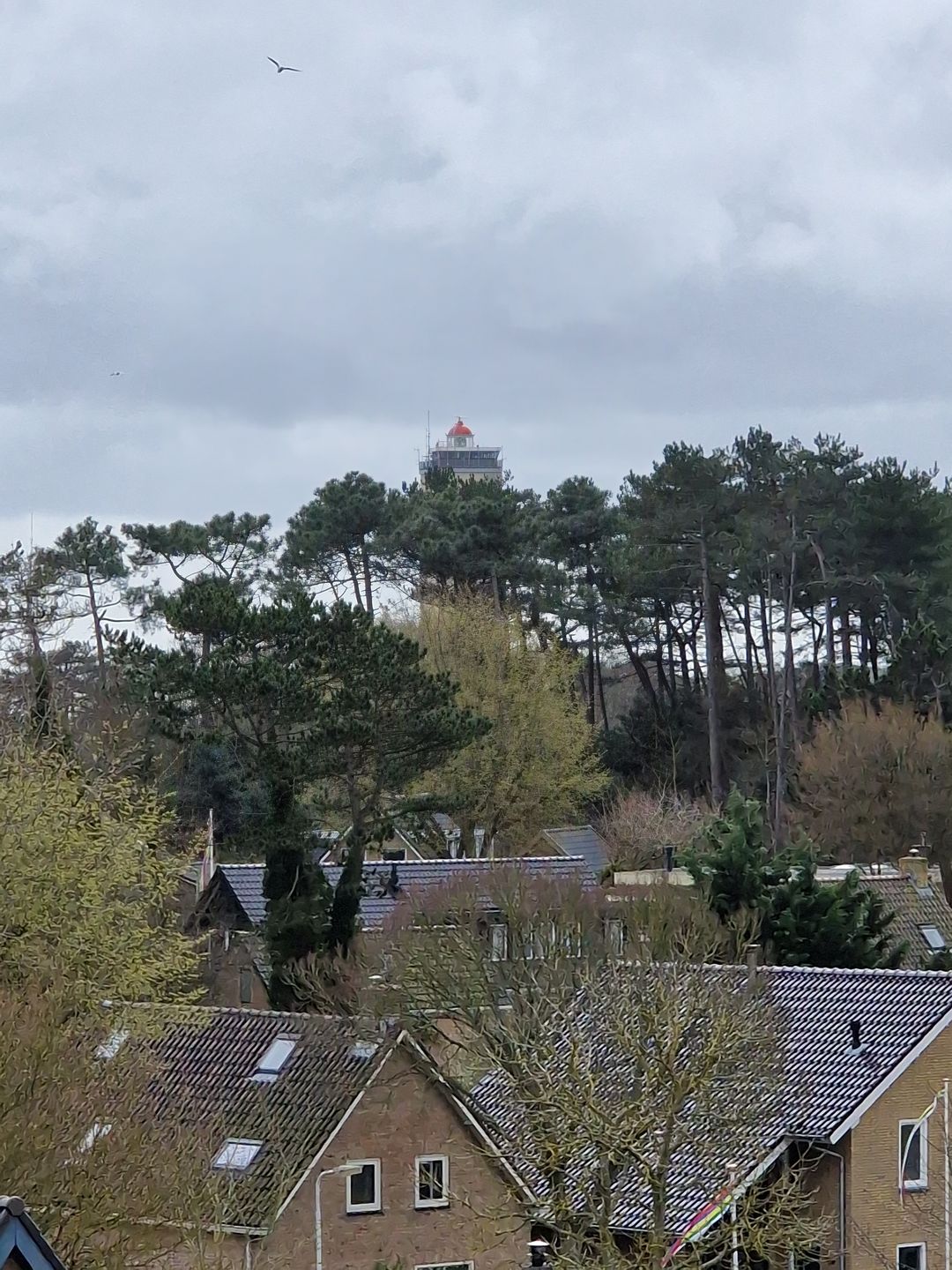 Foto 8 van Europalaan 35-70