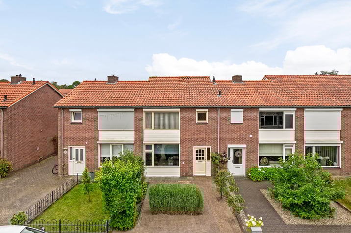 undefined main image