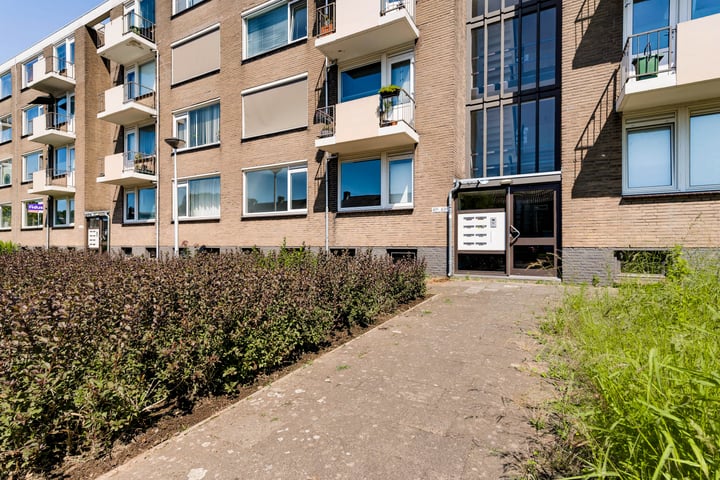Foto 3 van Wolkammersdreef 61-A