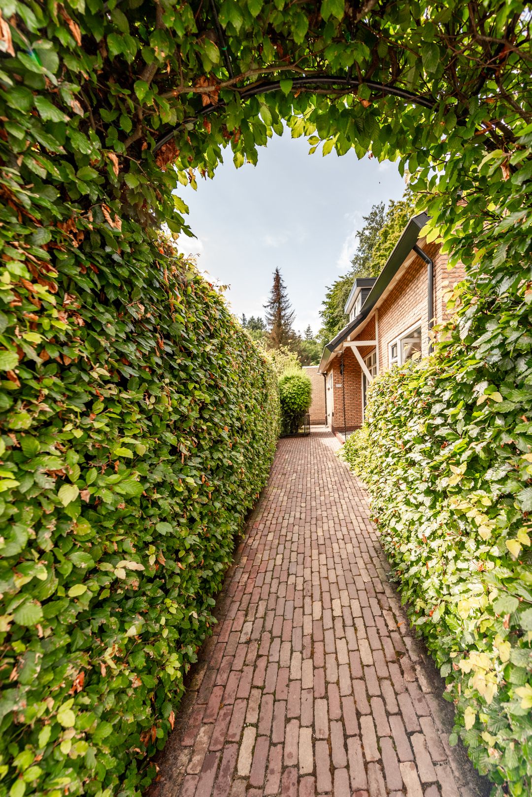 Foto 11 van Zwolseweg 293