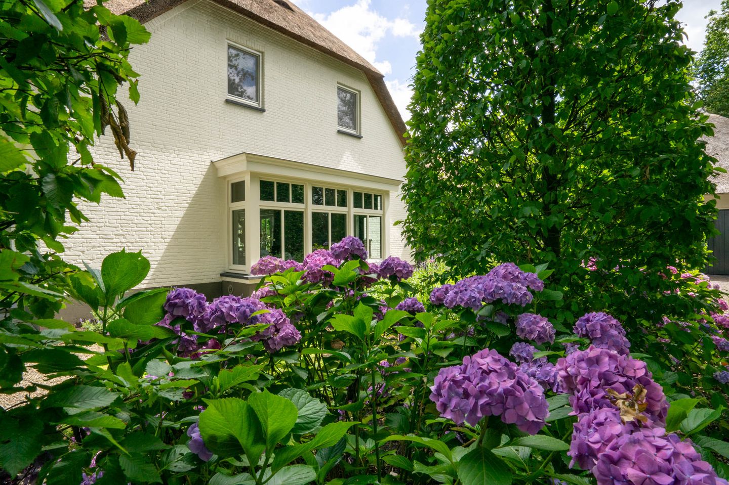 Foto 4 van Milschot 50