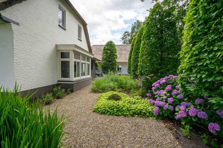 Foto 5 van Milschot 50