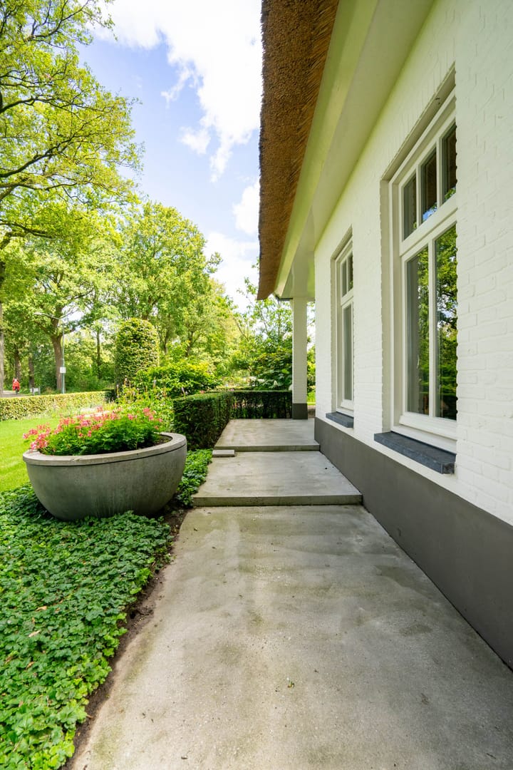 Foto 6 van Milschot 50