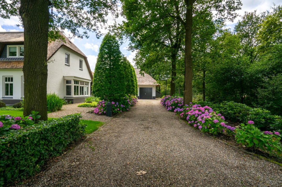 Foto 8 van Milschot 50