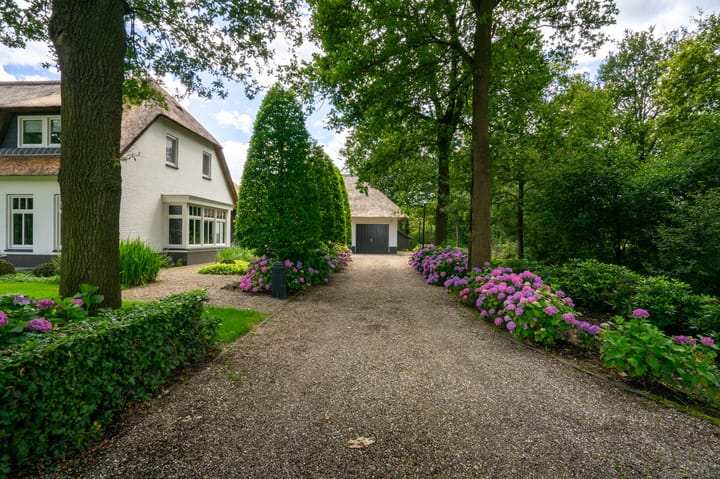 Foto 8 van Milschot 50