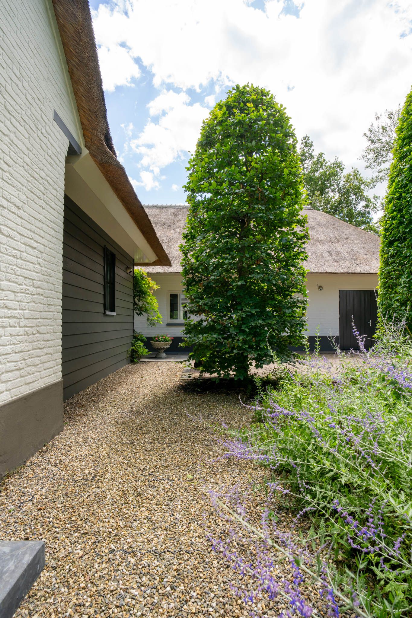 Foto 9 van Milschot 50