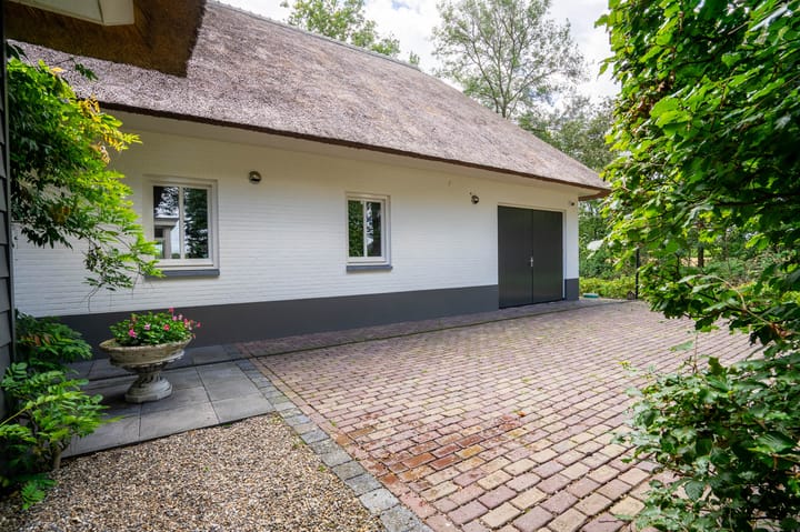 Foto 10 van Milschot 50