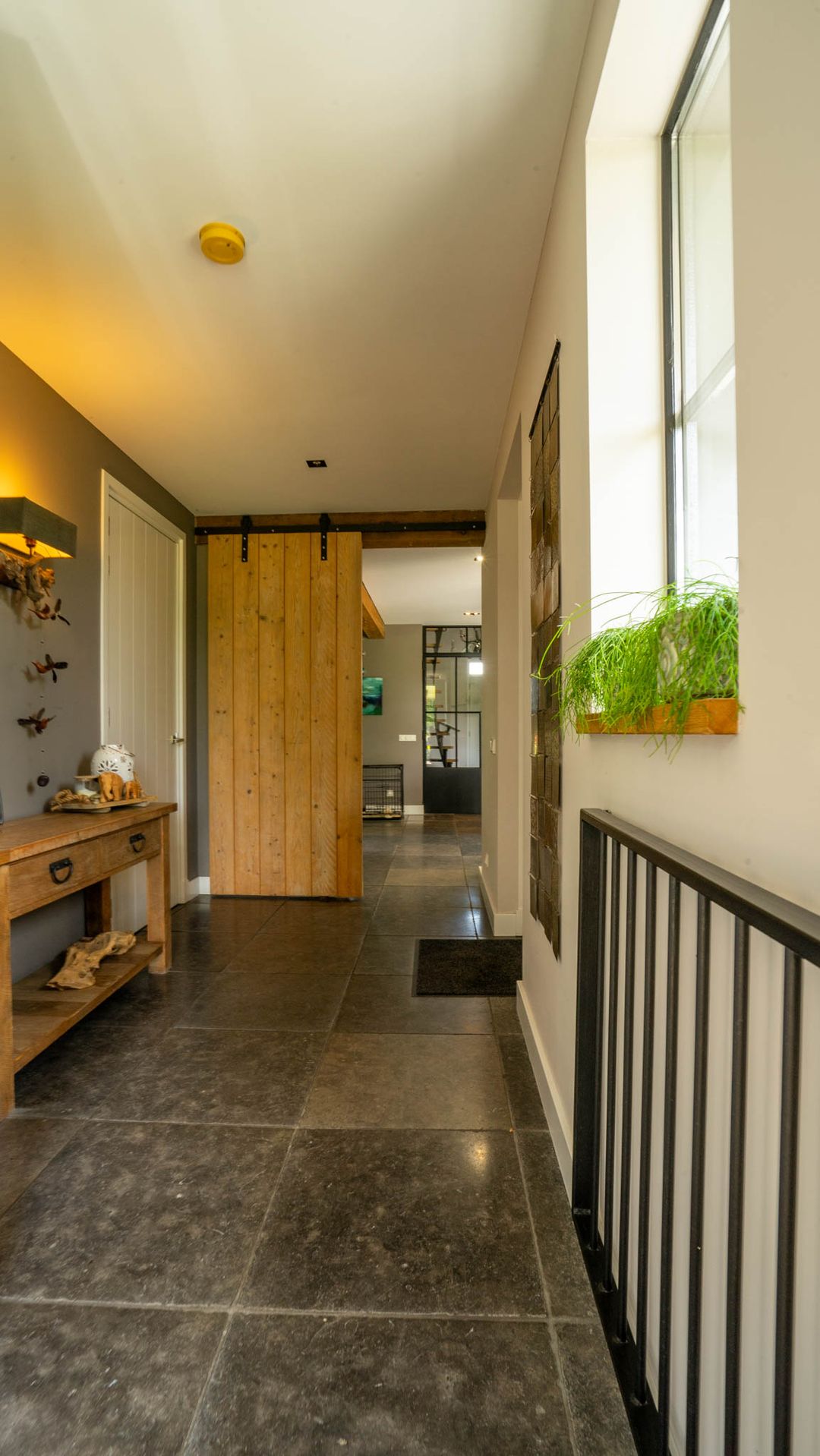 Foto 43 van Milschot 50