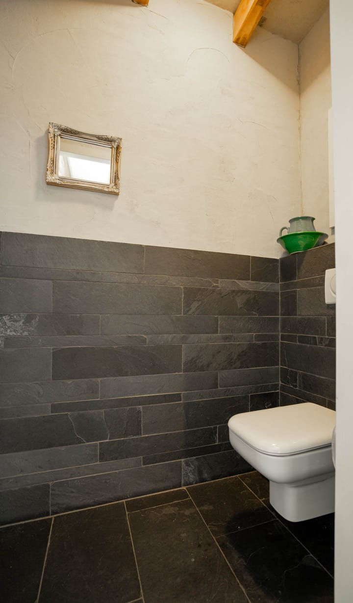 Foto 65 van Milschot 50