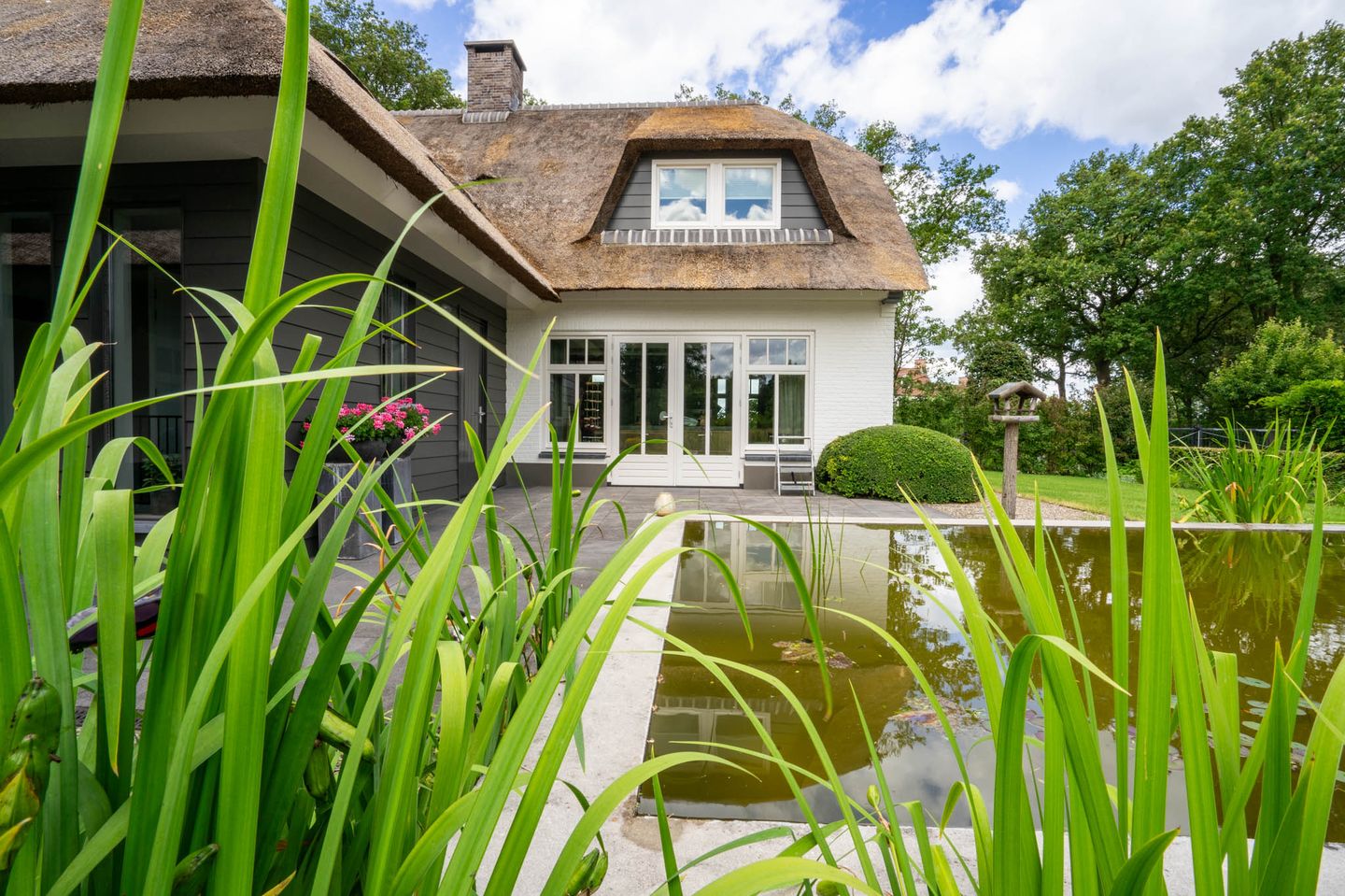 Foto 100 van Milschot 50