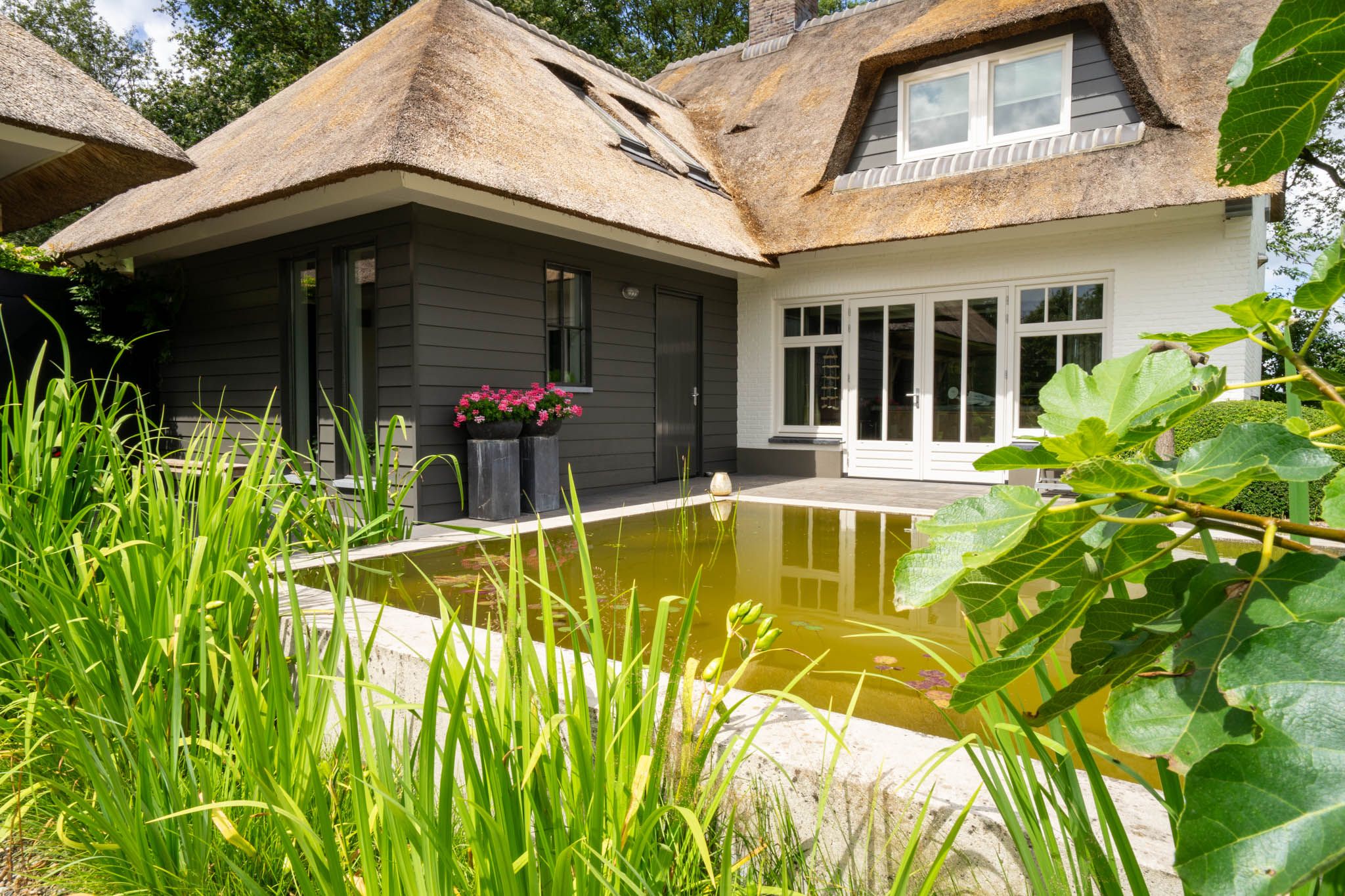 Foto 102 van Milschot 50