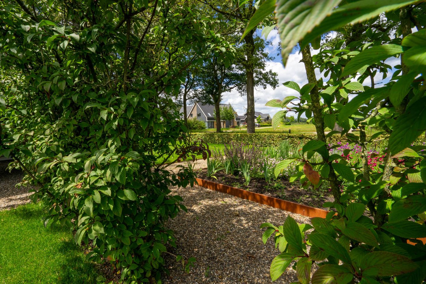 Foto 109 van Milschot 50