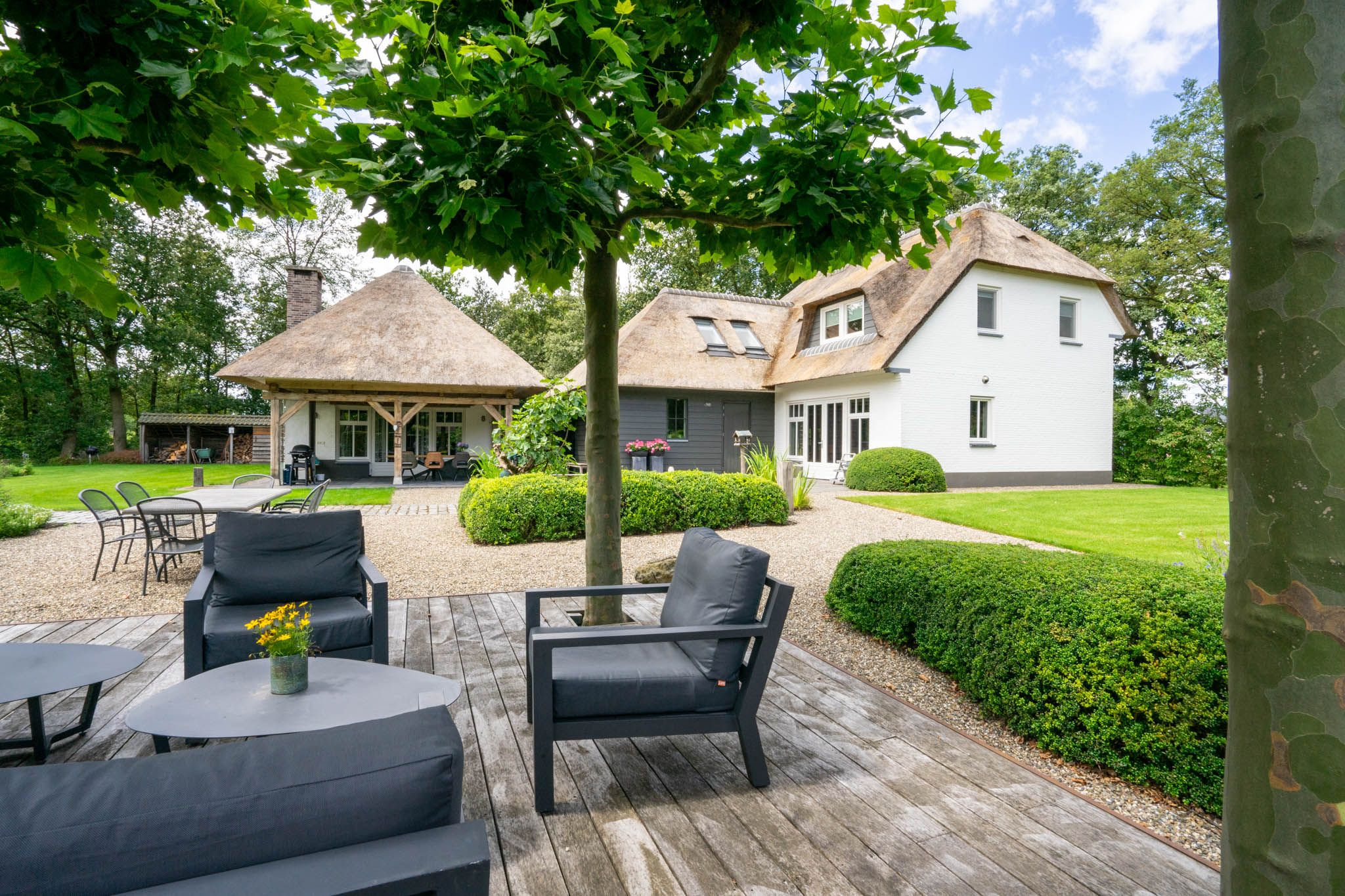 Foto 111 van Milschot 50