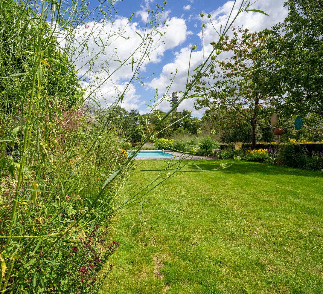 Foto 112 van Milschot 50