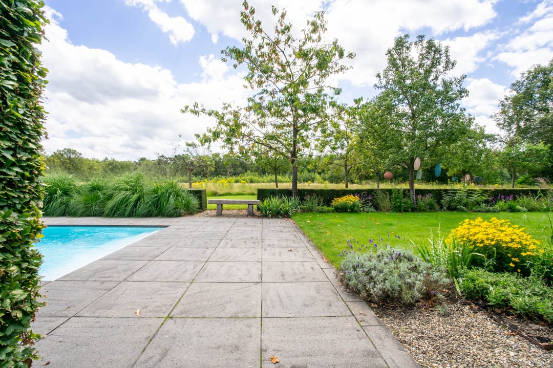 Foto 113 van Milschot 50