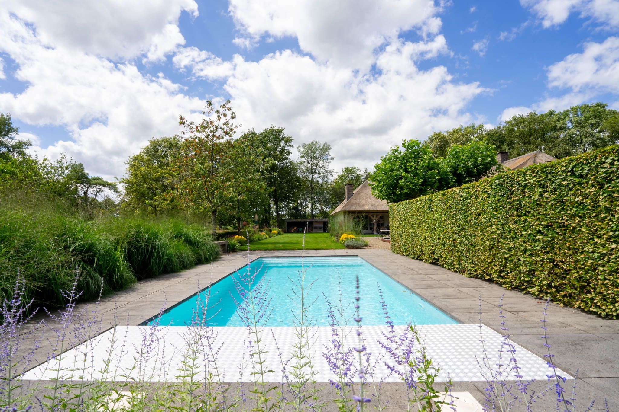 Foto 114 van Milschot 50