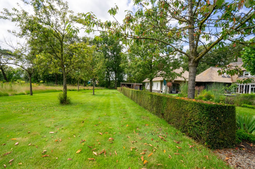 Foto 118 van Milschot 50