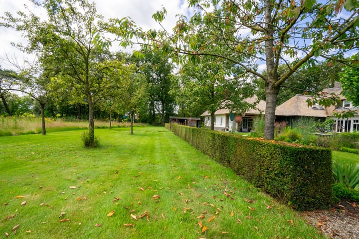 Foto 118 van Milschot 50