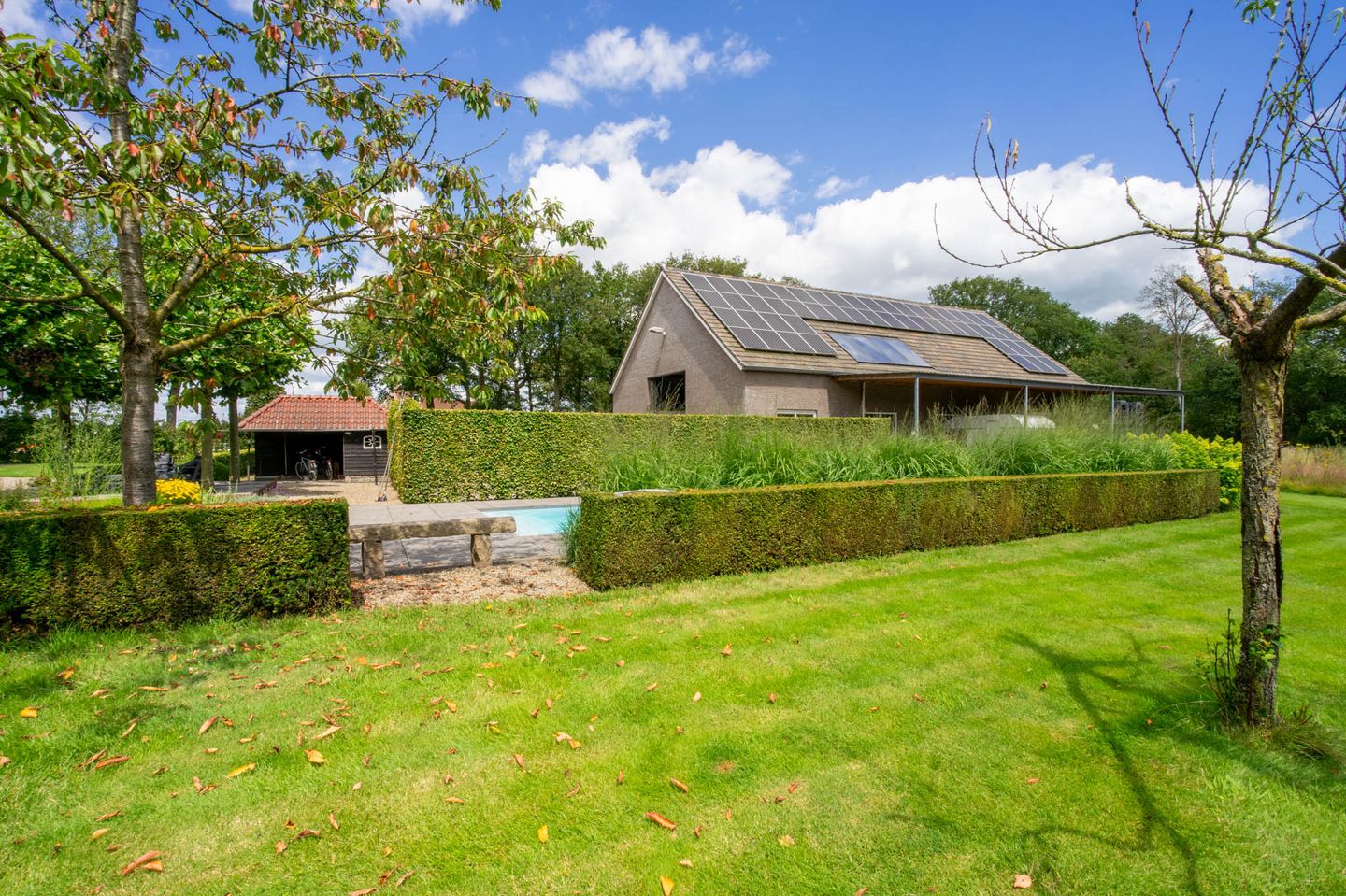 Foto 119 van Milschot 50