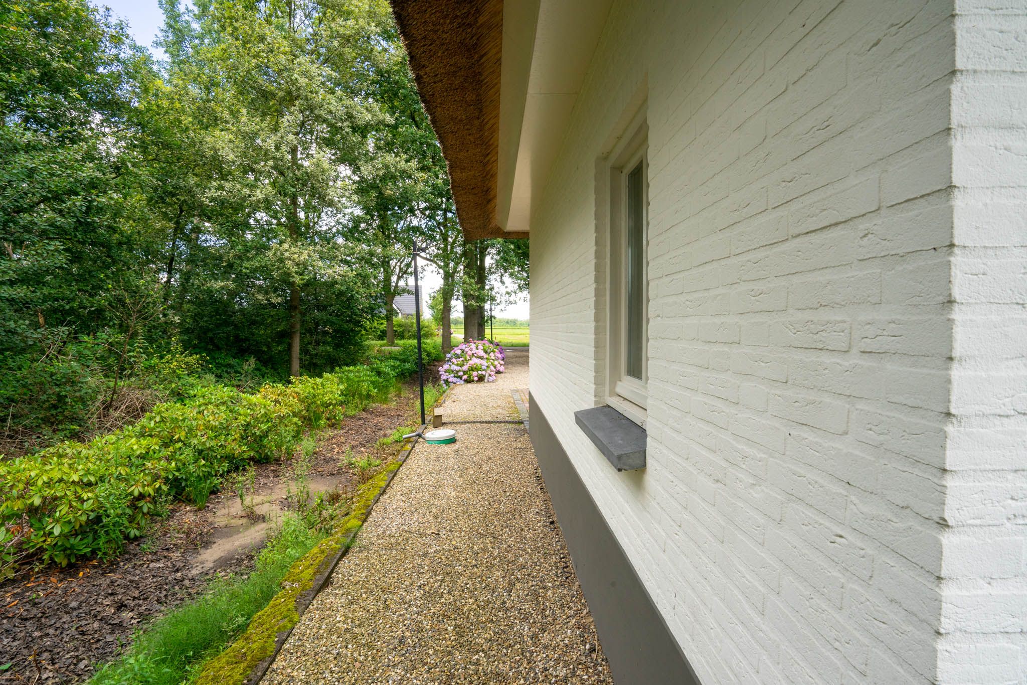 Foto 126 van Milschot 50