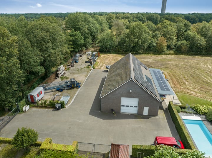 Foto 134 van Milschot 50