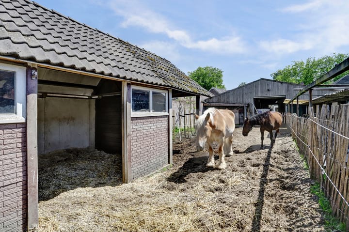 Foto 33 van Weebosch 80